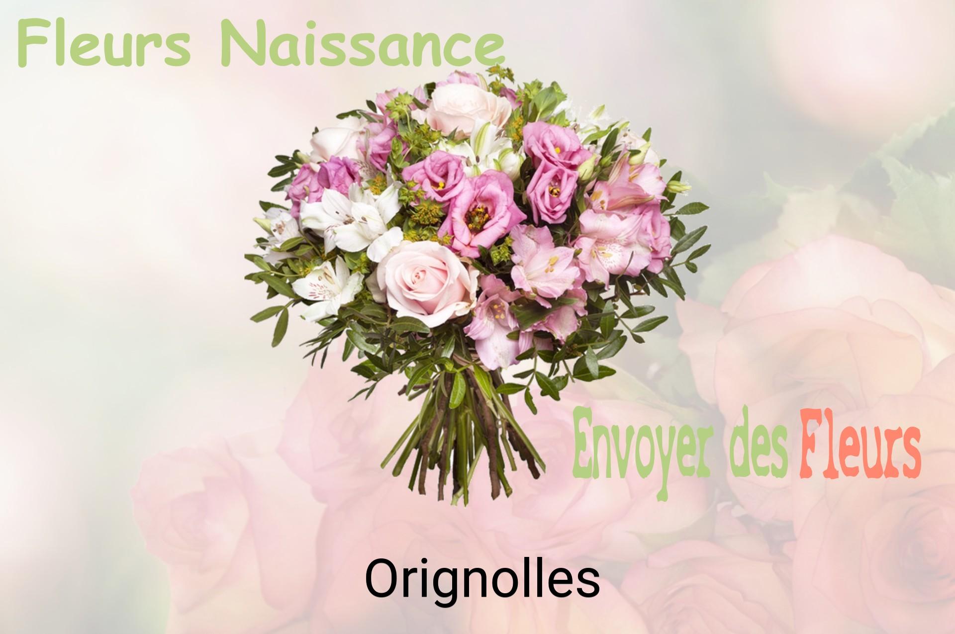Bouquet de fleurs de naissance livré à Orignolles